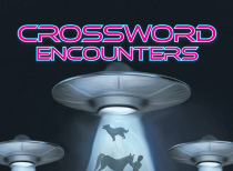 Crossword Encounters