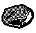 Coal "Coal"